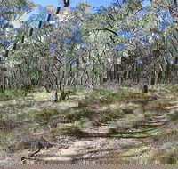 Reef Hills State Park - Australia Shopping