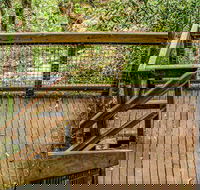 Somersby Falls walking track - Local Tourism