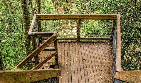 Somersby Falls Walking Track - Local Tourism 0