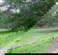 St Albans Reserve - Local Tourism