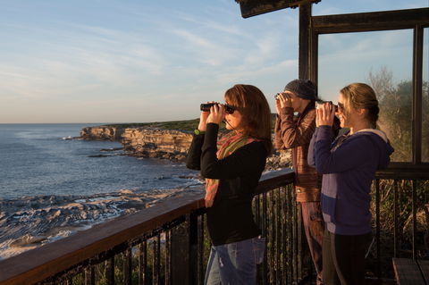 Sutherland Shire - Accommodation Australia 0