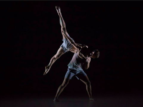 Sydney Dance Company - Accommodation Australia 0