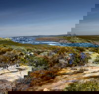 The Coast track - Accommodation Australia