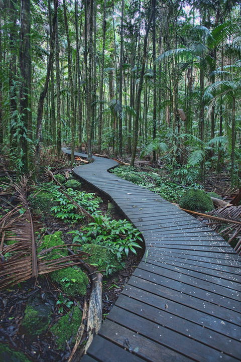 The Channon, Protesters Falls, Nimbin And Mount Nardi - Local Tourism 0