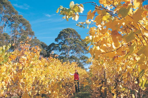 The Great Southern Drive - Local Tourism 1