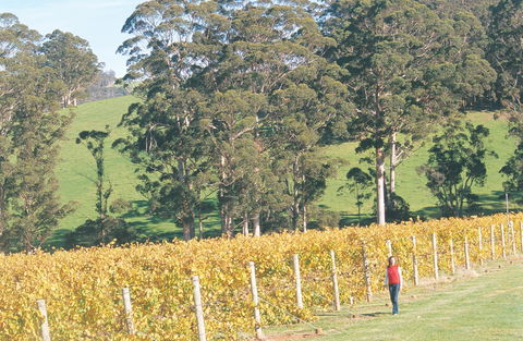 The Great Southern Drive - Local Tourism 2