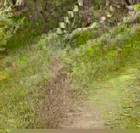 Three Views walking track - Local Tourism