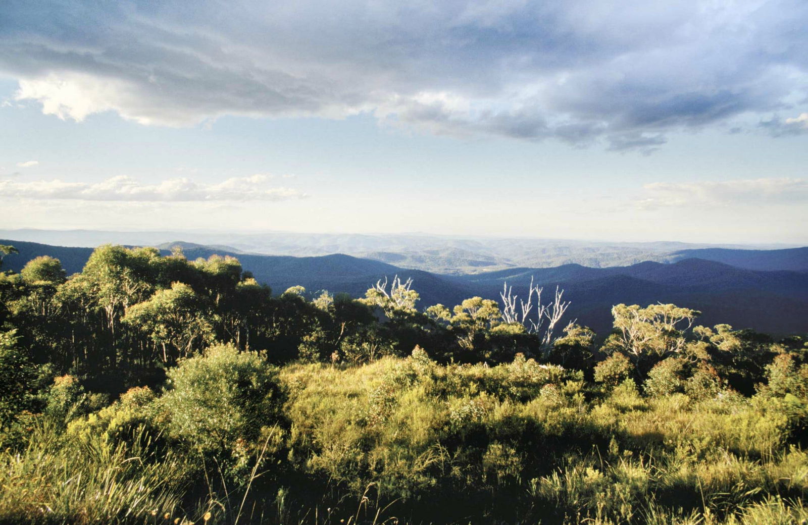 Dundurrabin NSW Accommodation Australia