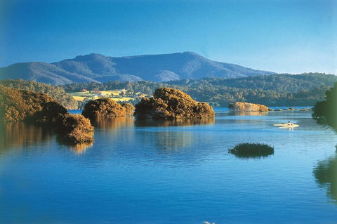 Wagonga Picnic Area - Accommodation Australia 0