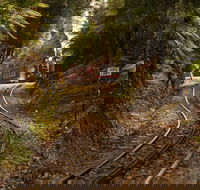West Coast - Local Tourism