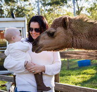 White Ridge Farm - Accommodation Australia