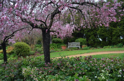 Wildwood Garden - Local Tourism 2