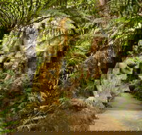 William Ricketts Sanctuary - Local Tourism