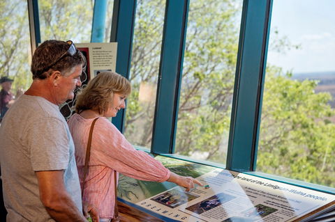 Window On The Wetlands - Local Tourism 2
