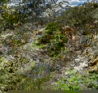 Yarrambat Park - Accommodation Australia
