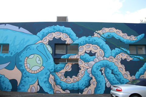 Adelaide Fringe Street Art Explosion - Accommodation Australia 2