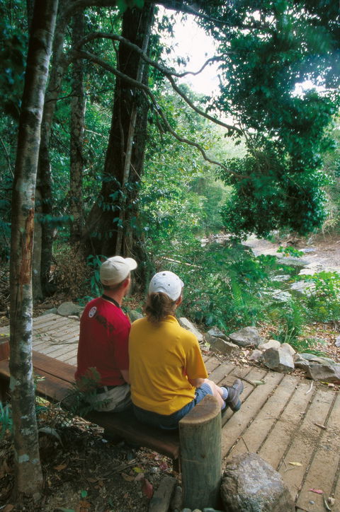 Airlie Beach To Cedar Creek Falls - Accommodation Australia 2
