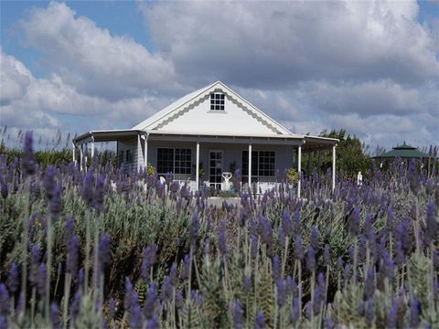 Amandine Lavender - Accommodation Australia 0