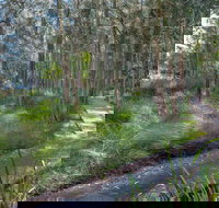 Anabranch Loop Track - Local Tourism