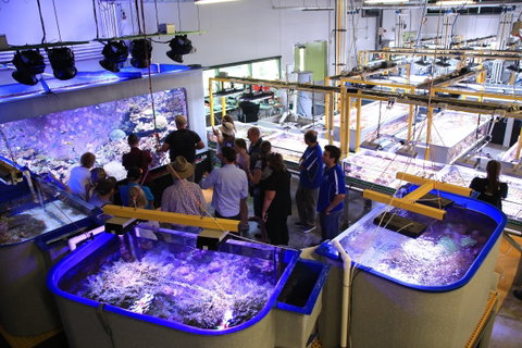 Australian Institute Of Marine Science - Accommodation Australia 0