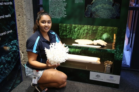 Australian Institute Of Marine Science - Accommodation Australia 2
