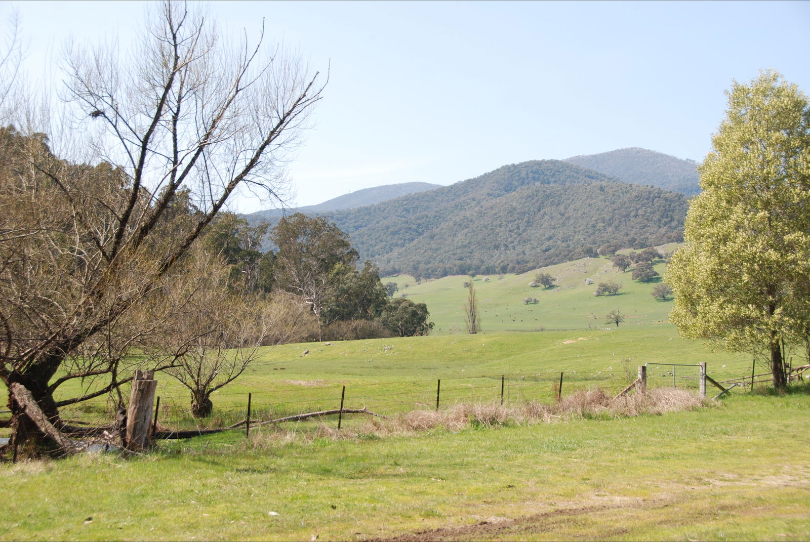 Dartmouth VIC Accommodation Australia