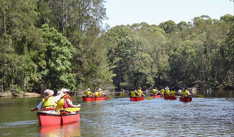 Bonville Creek - Accommodation Australia 0