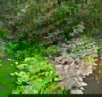 Brindle Creek Picnic Area - Local Tourism