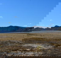 Darke Peak Scenic Drive - Local Tourism