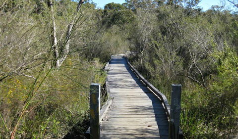 Falcon Crescent Link Track - Local Tourism 0
