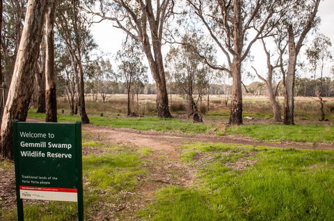 Gemmill Swamp Wildlife Reserve - Local Tourism 0