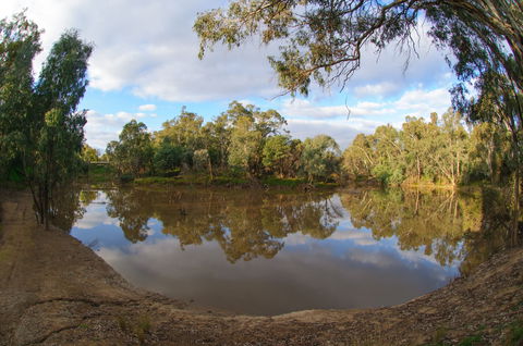 Gemmill Swamp Wildlife Reserve - Local Tourism 1