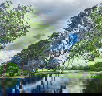 Gold Coast Regional Botanic Gardens - Local Tourism