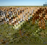 Gulf Region - Local Tourism