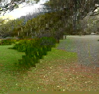 Hammerhead Point Picnic Area - Local Tourism