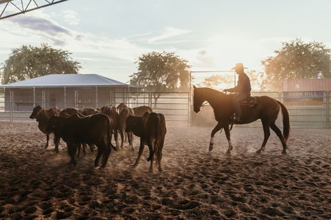 Katherine Outback Experience - Horse Riding Experience - Local Tourism 2