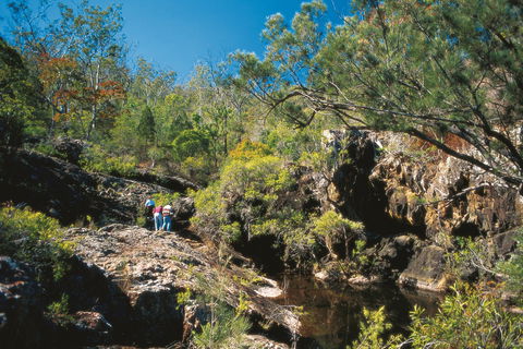 Kroombit Tops National Park - Accommodation Australia 0