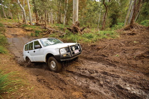 Kroombit Tops National Park - Accommodation Australia 1