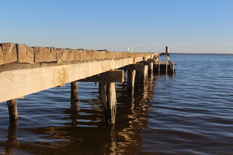 Lake Bonney - Local Tourism 1