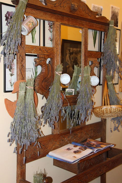 Lavender House In Railway Park - Accommodation Australia 1