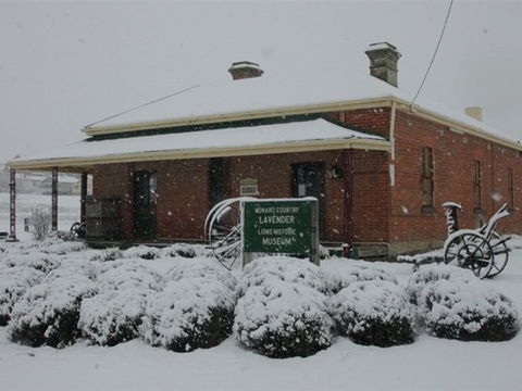 Lavender House In Railway Park - Accommodation Australia 2