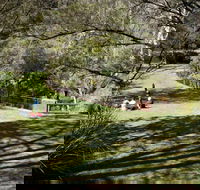 Leura Cascades picnic area - Australia Shopping