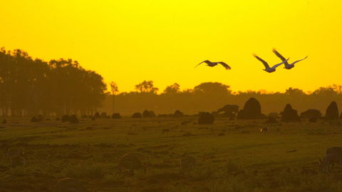 Mary River - Accommodation Australia 0