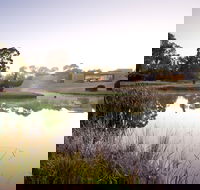 McClelland Sculpture Park  Gallery - Accommodation Australia