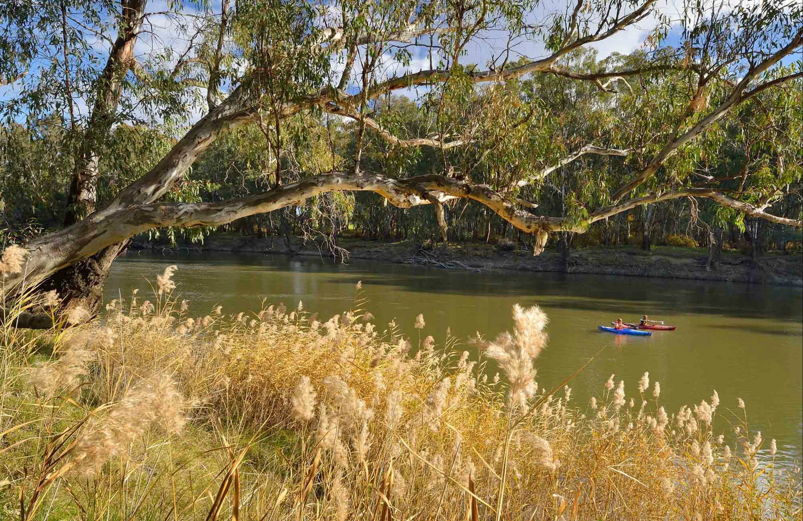Yanga NSW Accommodation Australia