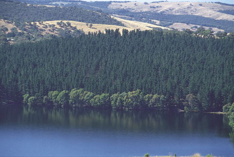 Myponga Reservoir Lookout - Local Tourism 0