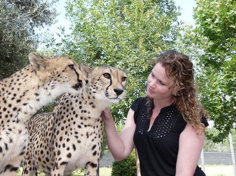 National Zoo & Aquarium - Accommodation Australia 1