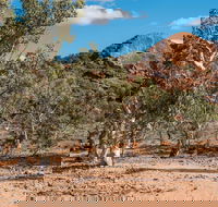 Old Coach Road Drive - Accommodation Australia