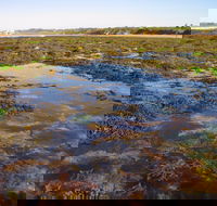 Point Danger Marine Sanctuary - Accommodation Australia