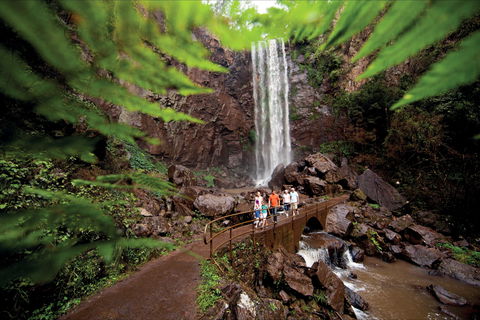 Queen Mary Falls Circuit, Main Range National Park - Bed n Breakfasts 0